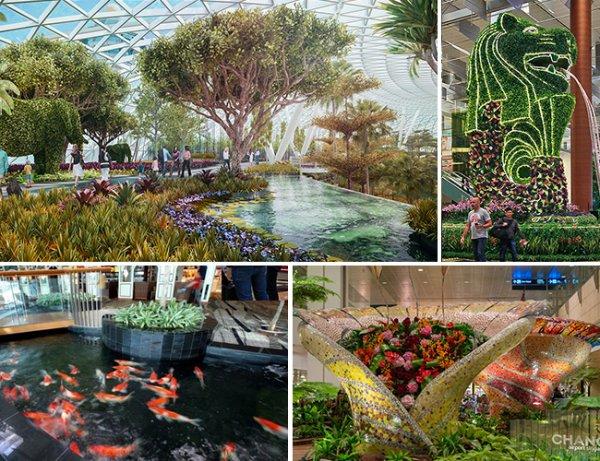 Çıtayı dağlara çıkaran havalimanı: Singapur Changi