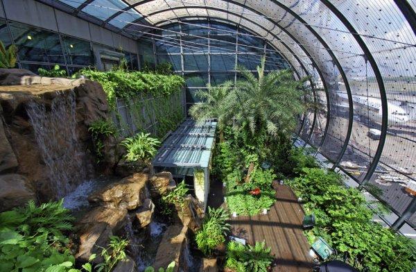 Çıtayı dağlara çıkaran havalimanı: Singapur Changi