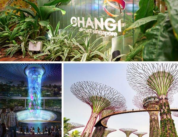 Çıtayı dağlara çıkaran havalimanı: Singapur Changi