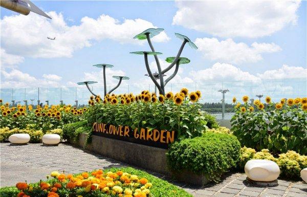 Çıtayı dağlara çıkaran havalimanı: Singapur Changi