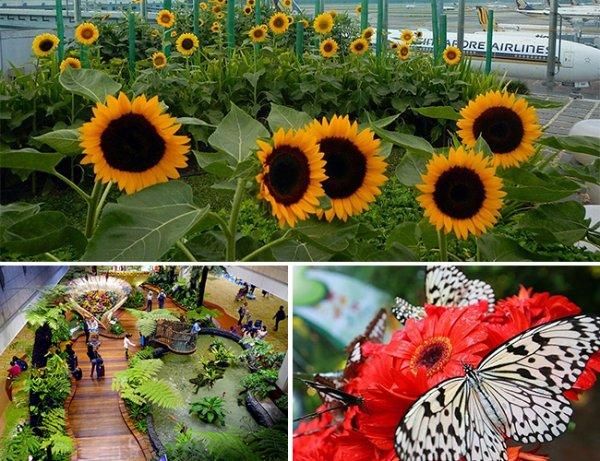 Çıtayı dağlara çıkaran havalimanı: Singapur Changi