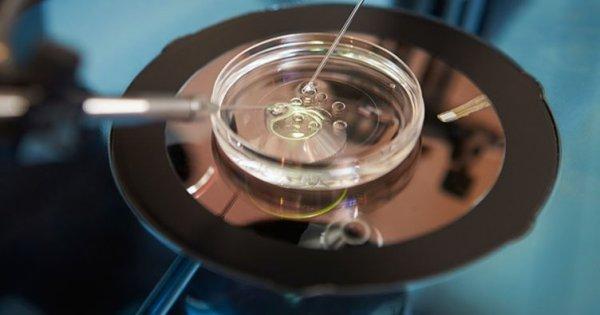 Tüp bebek isteyenlere 'sigara içmeme' şartı