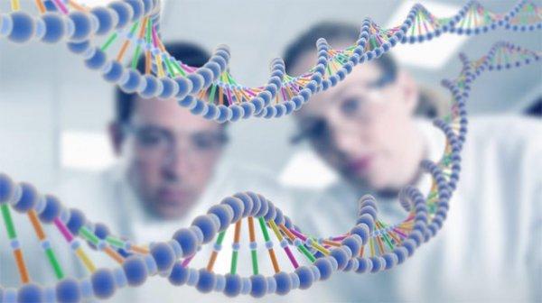 İnsan embriyosu genetik olarak değiştirilebilecek