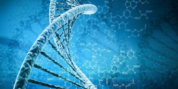 İnsan embriyosu genetik olarak değiştirilebilecek