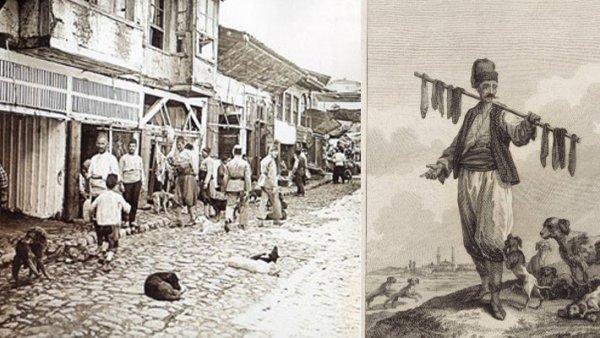 Osmanlı'da hayvan sevgisi: Mancacılık