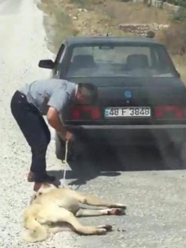 İşkence gören köpeğin gerçek sahibi konuştu