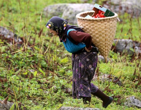 Rize'de köylüler yaylaya yol istemedi
