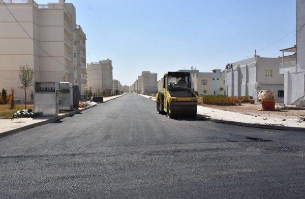 Nusaybin'de terör mağdurları için asfalt çalışması