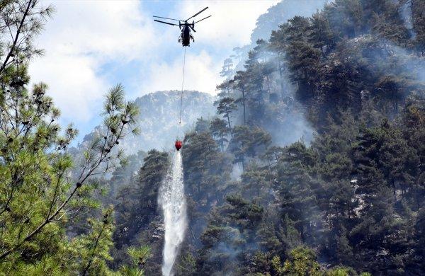 Muğla Köyceğiz'de orman yangını