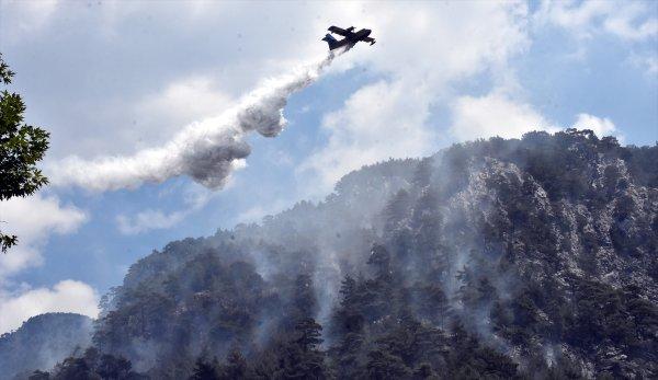 Muğla Köyceğiz'de orman yangını