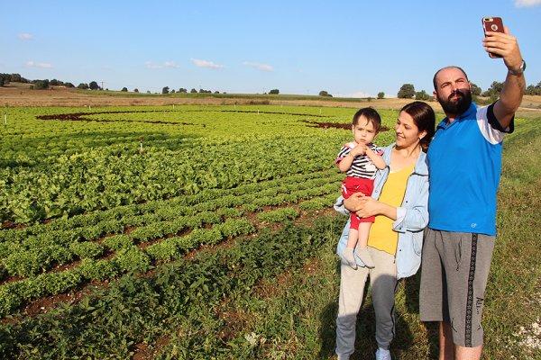 Marul tarlasında ay-yıldız