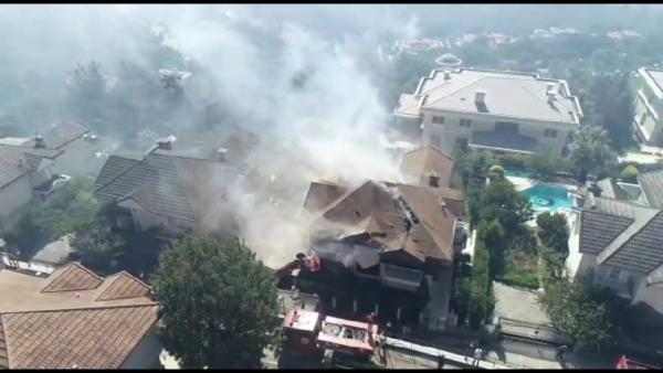 Mudanya'da orman yangını evlere yaklaştı