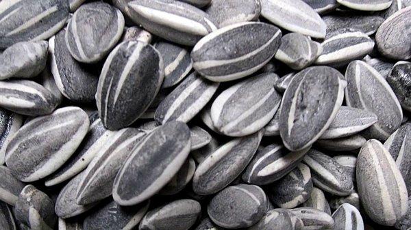 Ay çekirdeği Alzheimer’ı önlüyor