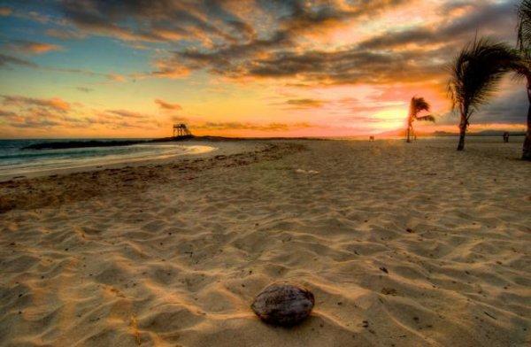 Tabiatın konuştuğu yer: Galapagos Adaları