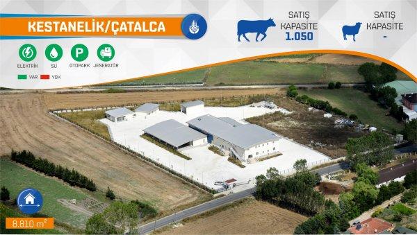 İBB Kurban Bayramı'na hazır