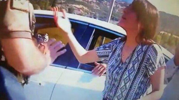 HDP'li Dağ terörist cenazesine katılmaya çalıştı