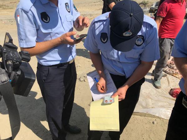 Sultangazi'de zabıtadan kaçak kesim denetimi