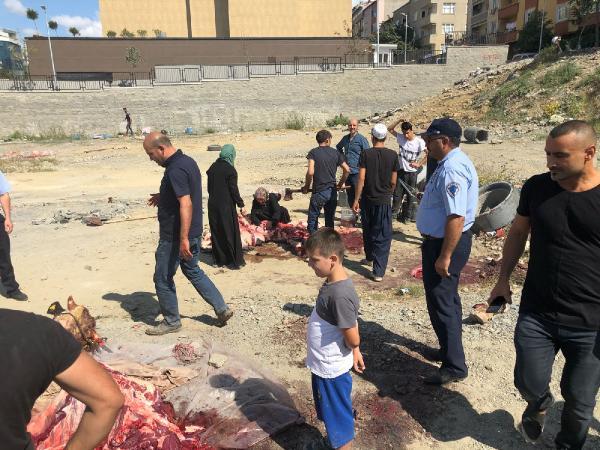 Sultangazi'de zabıtadan kaçak kesim denetimi