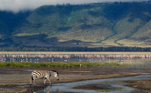 Afrika’da safari için en çılgın rotalar