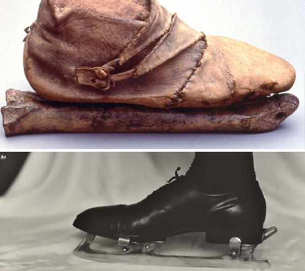 Bonapart sporu: Buz pateni