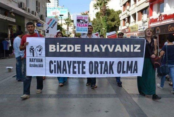 Kurban Bayramı cinayet değil yardımlaşmadır