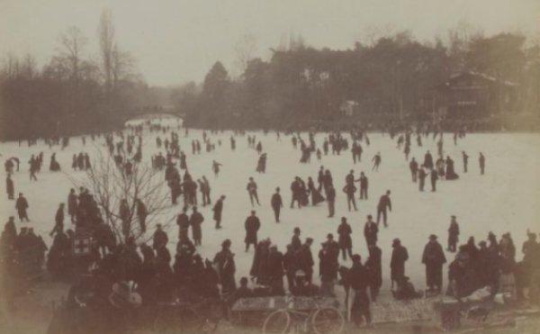 Bonapart sporu: Buz pateni