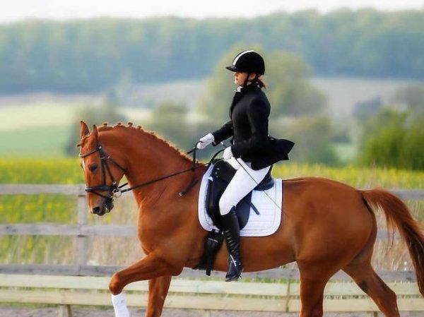 At binen kadınlar daha sağlıklı oluyor