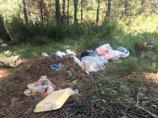 Piknikçiler Aydos Ormanı'nı çöplüğe çevirdi