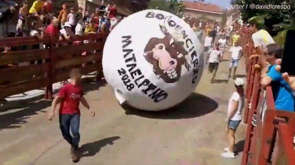 İspanya'da bu kez boğadan değil toptan kaçtılar