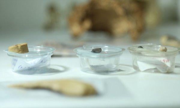 Direkli Mağarası'nda  taştan dilgi bulundu