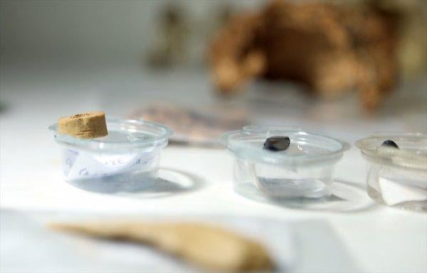 Direkli Mağarası'nda  taştan dilgi bulundu