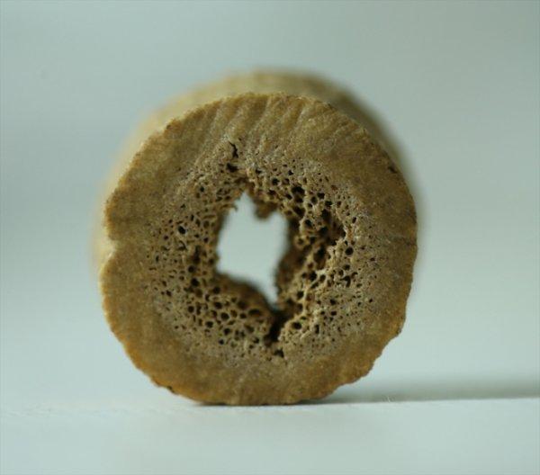 Direkli Mağarası'nda  taştan dilgi bulundu