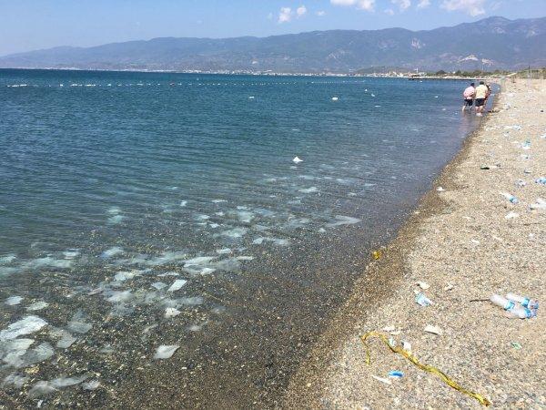 Zeytinli Rock Festivali'nin ardından kalan çöpler