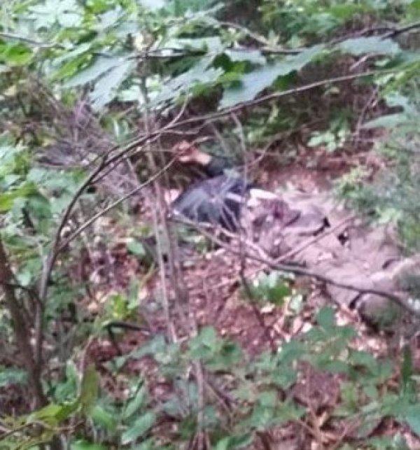 Giresun'daki PKK operasyonunun ayrıntıları