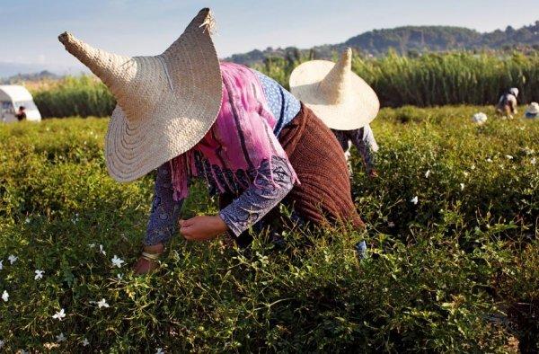 Kokuların dünyasına yolculuk