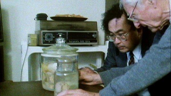 Einstein’ın beyninin trajikomik bir hikayesi var