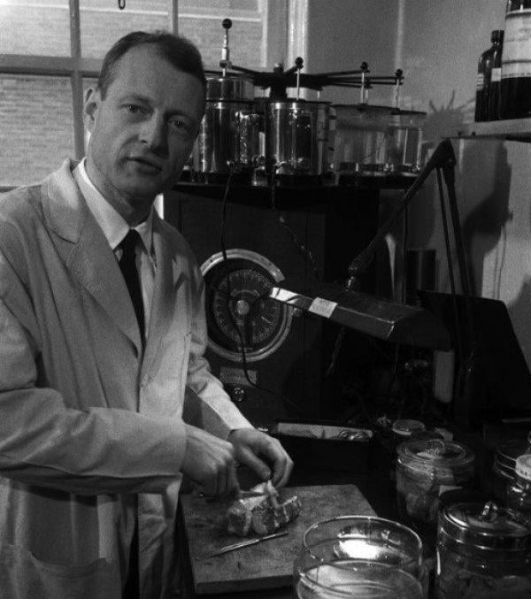 Einstein’ın beyninin trajikomik bir hikayesi var