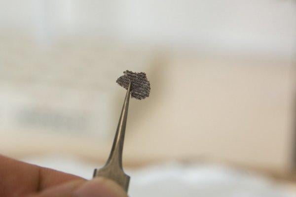 Bilinen en eski hayvan fosili bulundu