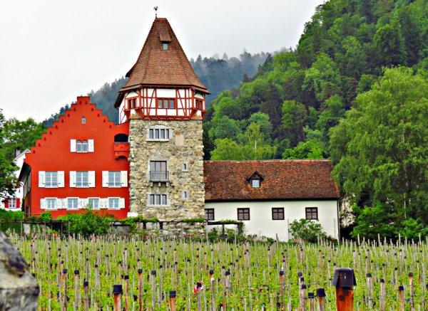Böyle bir Shengen ülkesi var: Lihtenştayn