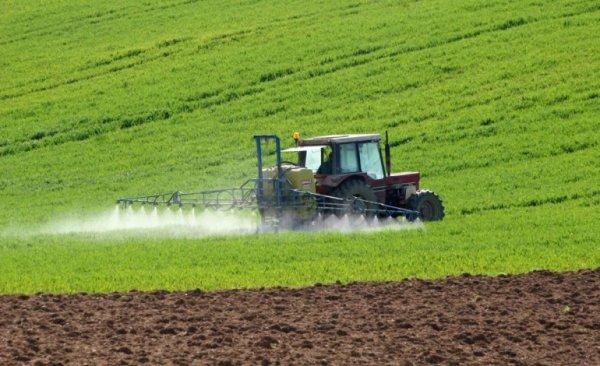 Hazine arazileri çiftçilere dağıtılıyor