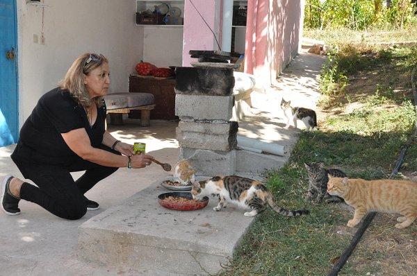 Köyde terk edilmiş kedilere annelik yapıyor