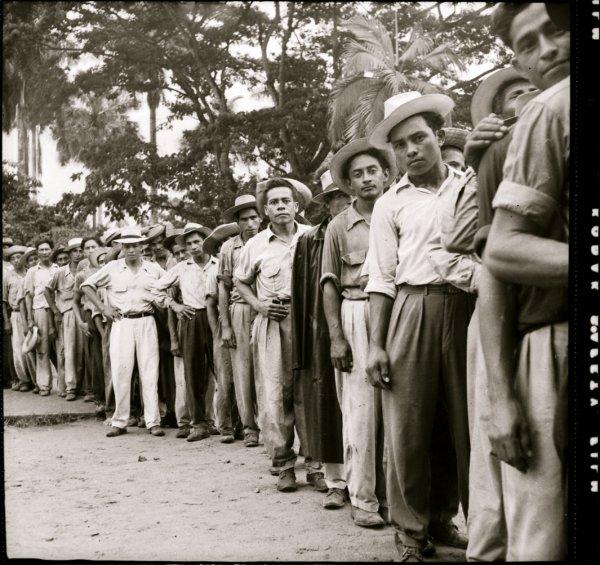 Çikita muzun Honduras laneti