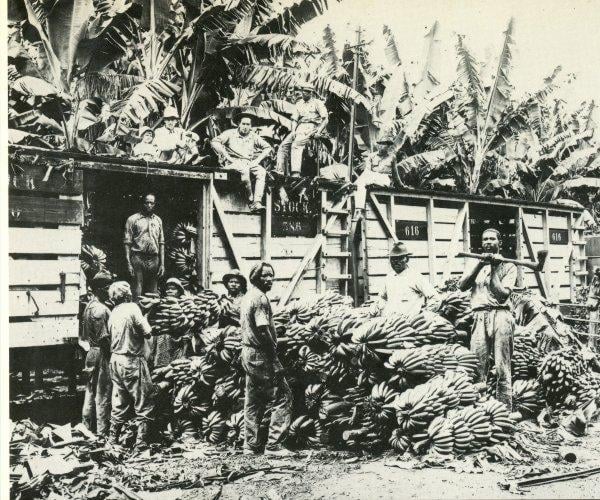 Çikita muzun Honduras laneti