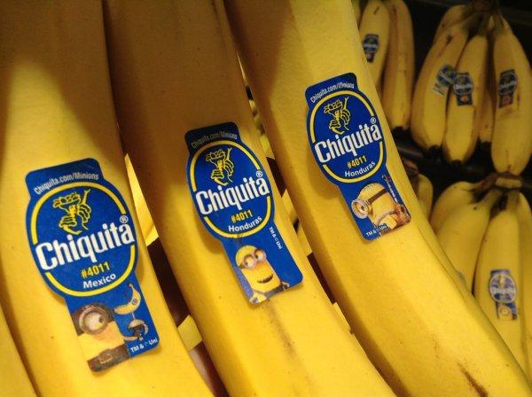 Çikita muzun Honduras laneti