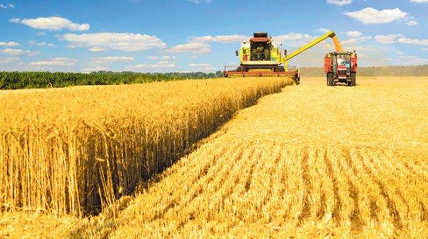 Türkiye, ilk kez Rusya'dan ruble ile buğday alacak