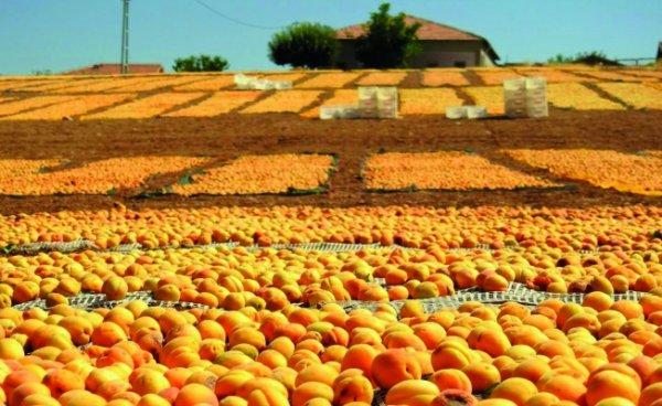 Herkesi ‘gardaş’ bilen şehir: Malatya