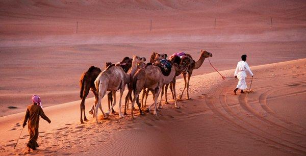 Çöl safarisi yapmak isteyenler için 4 popüler rota