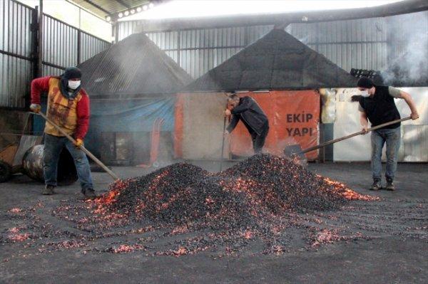 Fındık kabuğundan mangal kömürü üretiliyor
