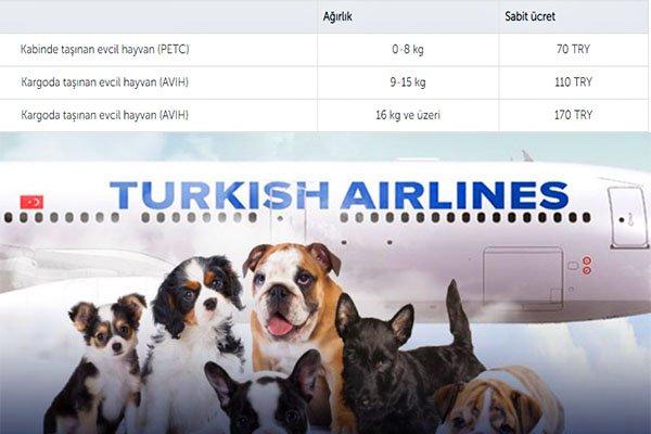 Evcil hayvanınız da Türk Hava Yolları’yla güvende