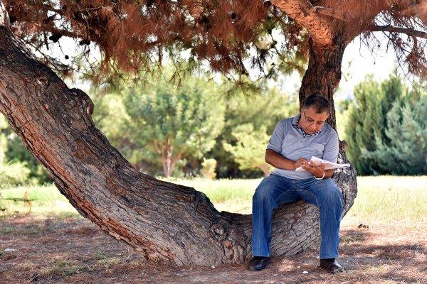 Hem öğretmen hem öğrenci